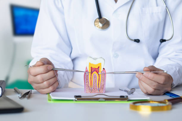 Best Tooth Pain Emergency Relief  in Oliver, PA